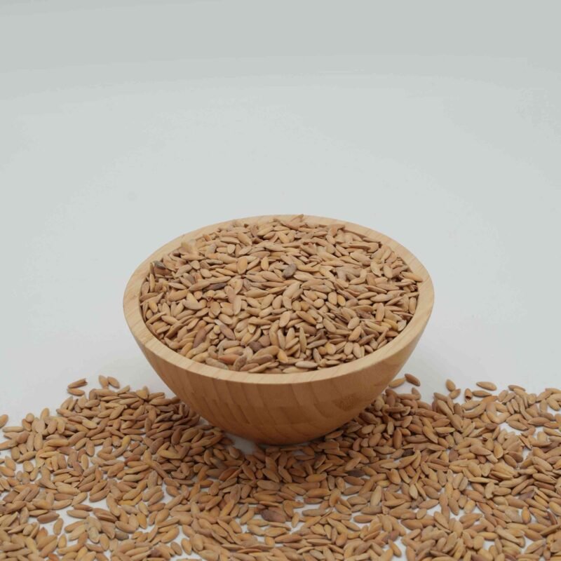 KAVUN ÇEKİRDEĞİ TUZLU - 500 GR